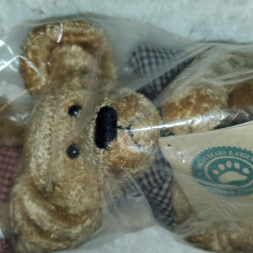 Boyds Bears Patches B. Beariluved & friend. JB Bean vintage
